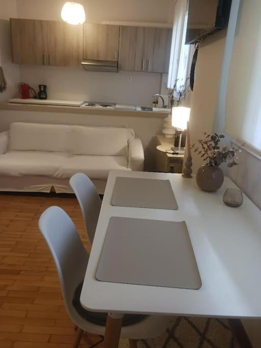Beautiful Downtown Studio! Ioannina Exterior photo